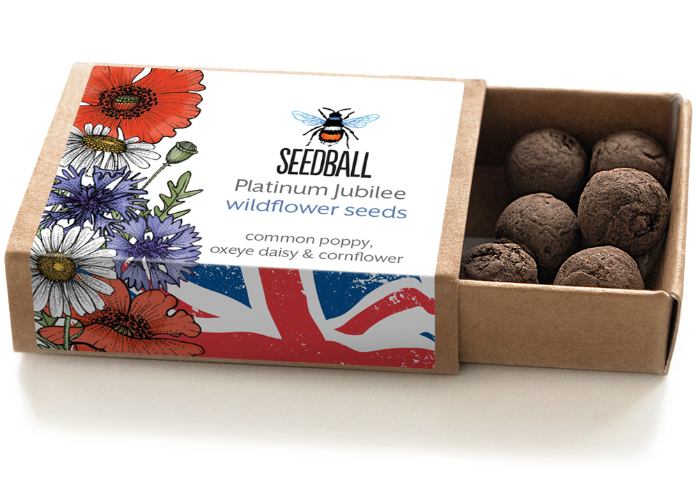 Choose a native wildflower seed collection to celebrate the Platinum Jubilee
