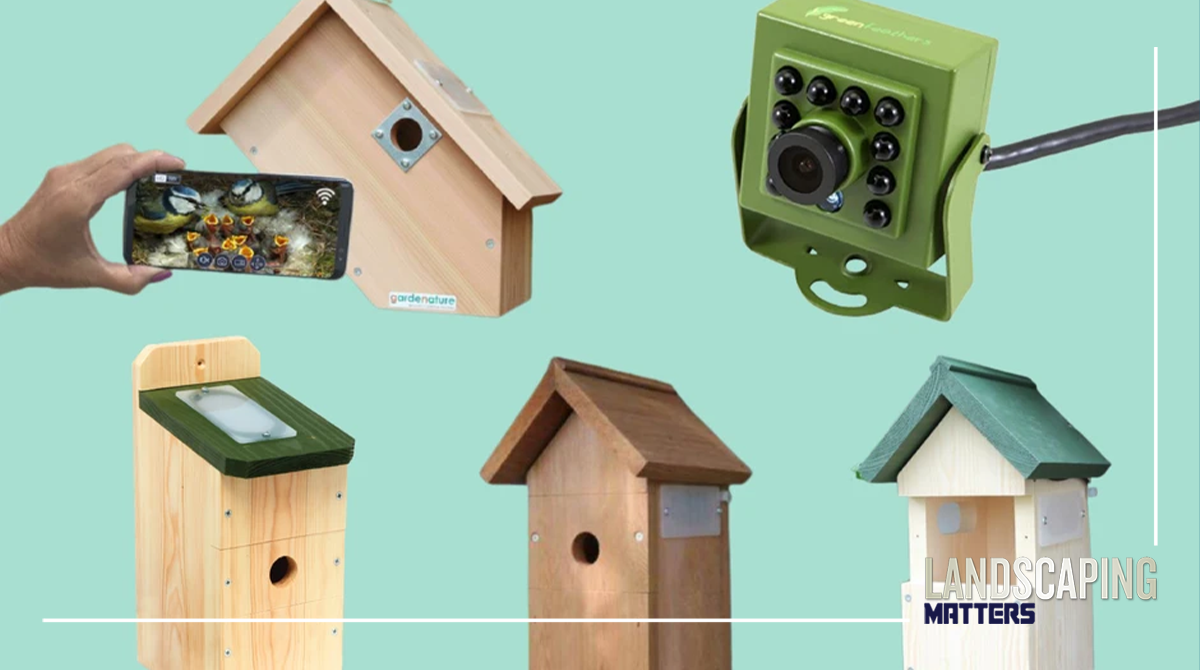 Nine of the best bird box cameras in 2023 Landscaping Matters