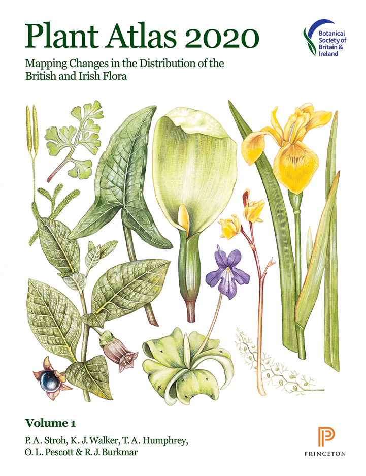 20-year research project reveals devastating loss of British & Irish flora