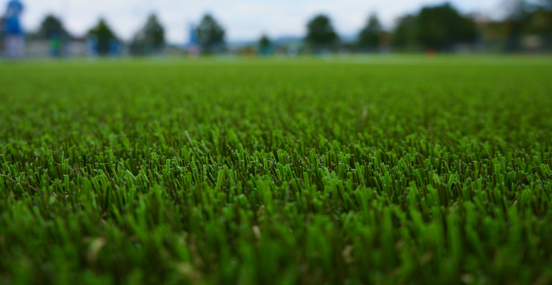 Wales considers banning artificial lawns