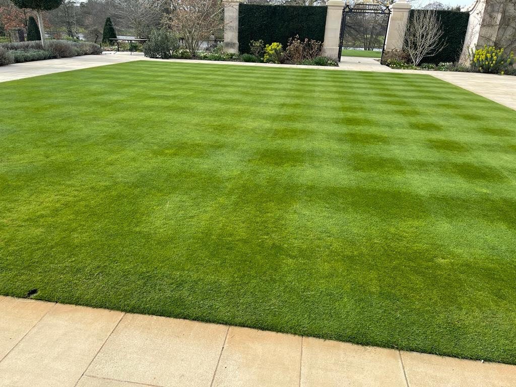 Beware of lawn trends...go native instead! 