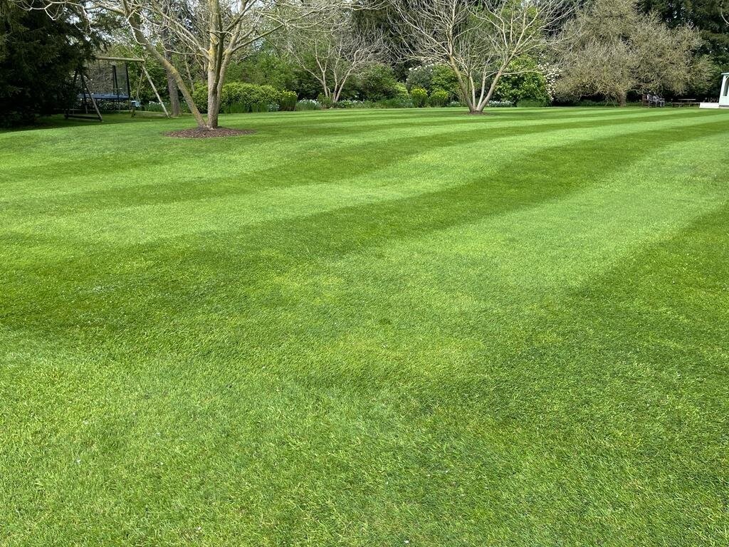 Lawn Care – Time for a major rethink 