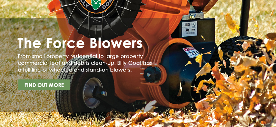 Effortless Autumn Cleanup: Discover the Ideal Professional Leaf Blower for Your Landscape 
