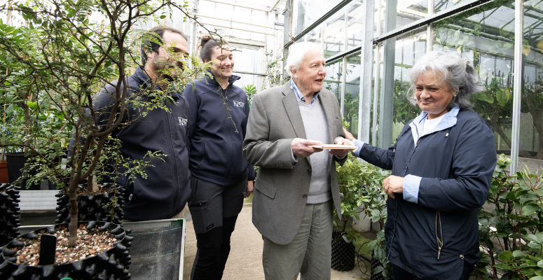 Sir David Attenborough donates Easter Island seeds to Kew