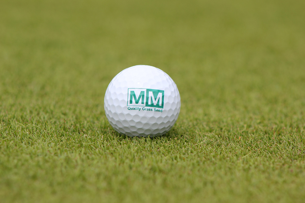 MM Seed: A Key Ingredient for Golf Course Excellence