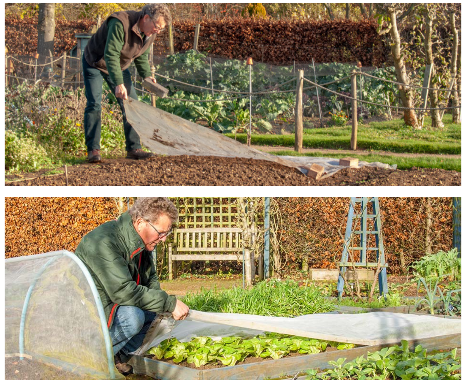 December gardening tips from Barnsdale Gardens