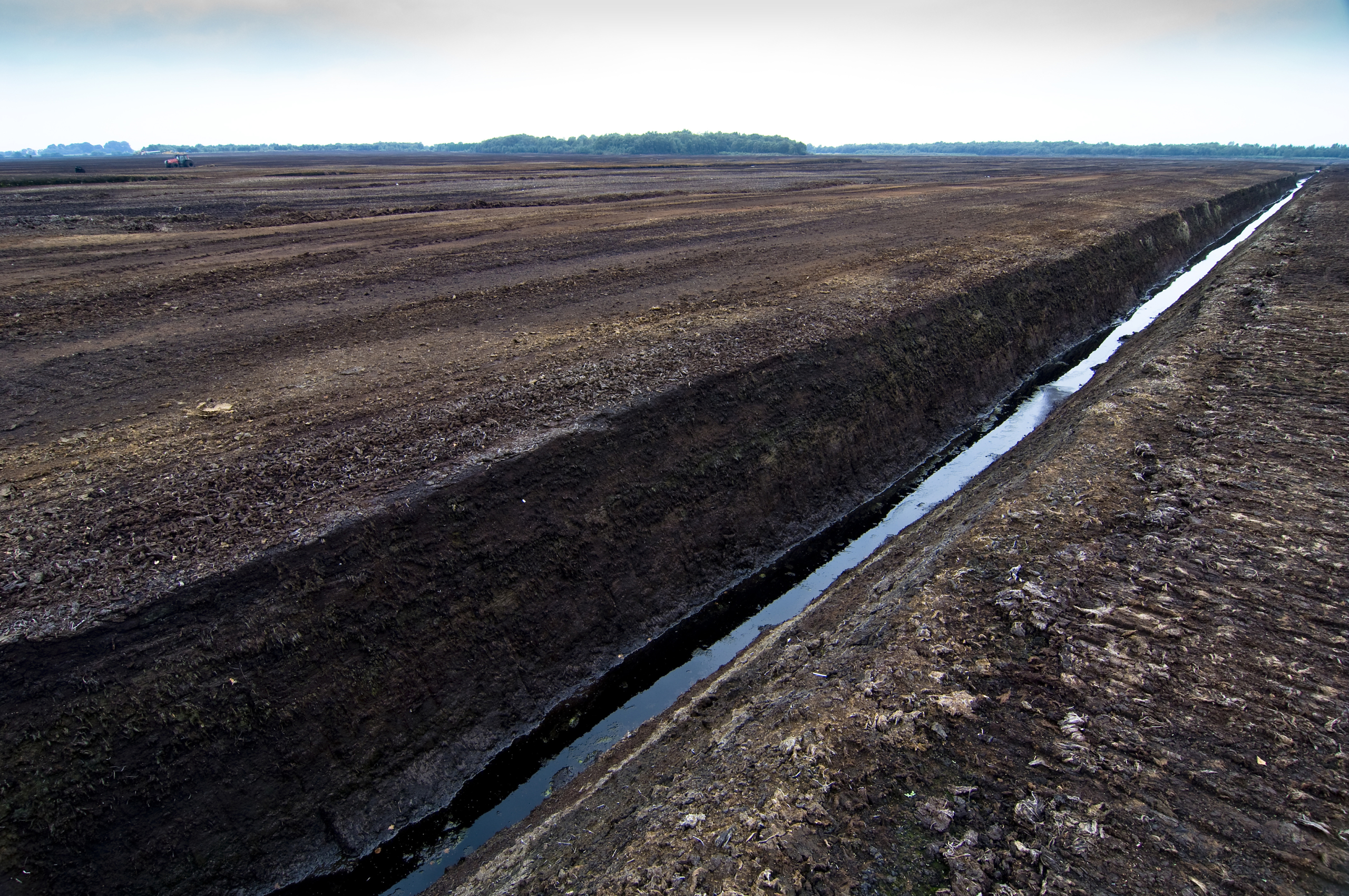 New campaign exposes hidden peat in retail products