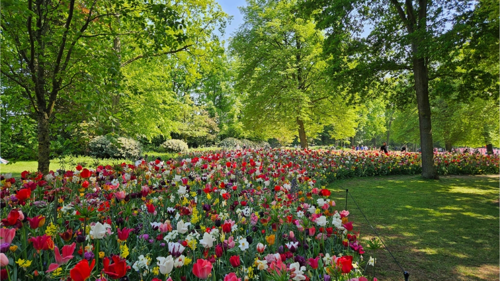 A Painterly Finale JUB Holland’s Blooming Masterpiece