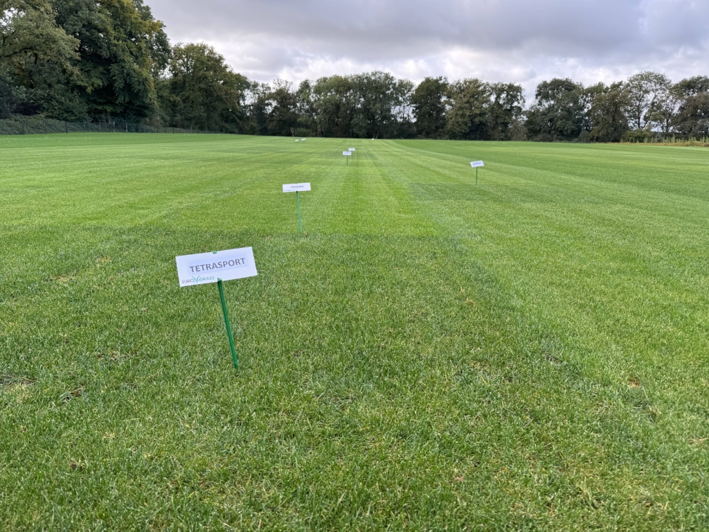 DSV UK Takes Top Spots in BSPB Turfgrass Seed Rankings DSV UK Takes Top Spots in BSPB Turfgrass Seed Rankings