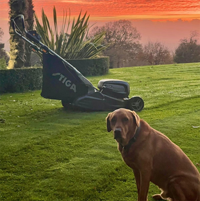 STIGA Celebrates Clean Air Day With Battery Mowing STIGA Celebrates Clean Air Day With Battery Mowing