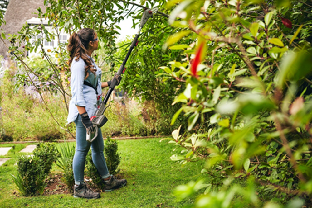 Summer’s Here... Let the Gardening Fun Begin Summer’s Here... Let the Gardening Fun Begin