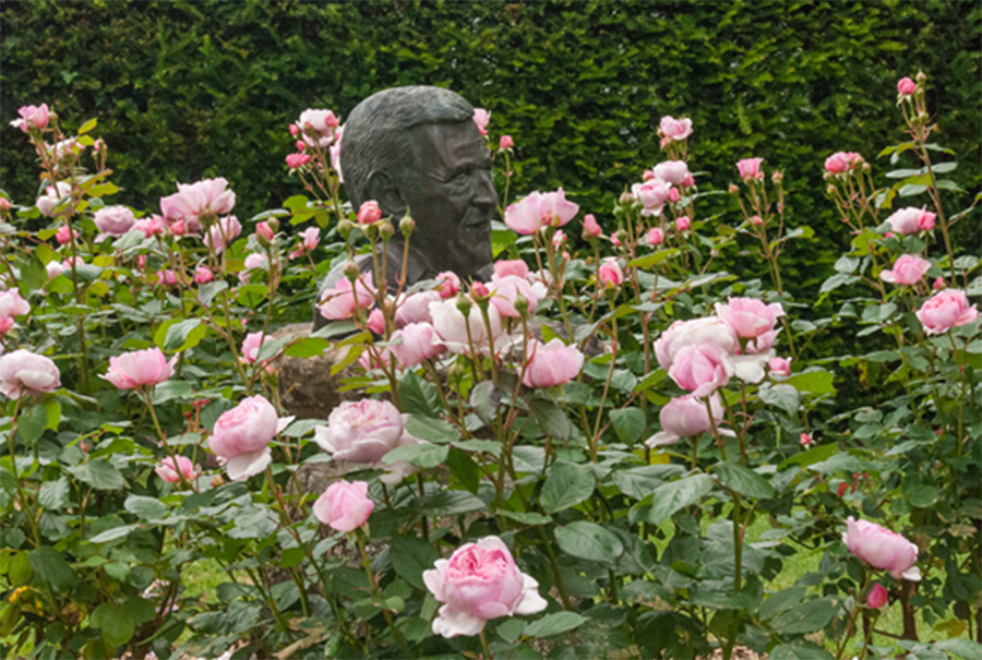 The Best of Summer Blooms at Barnsdale Gardens The Best of Summer Blooms at Barnsdale Gardens