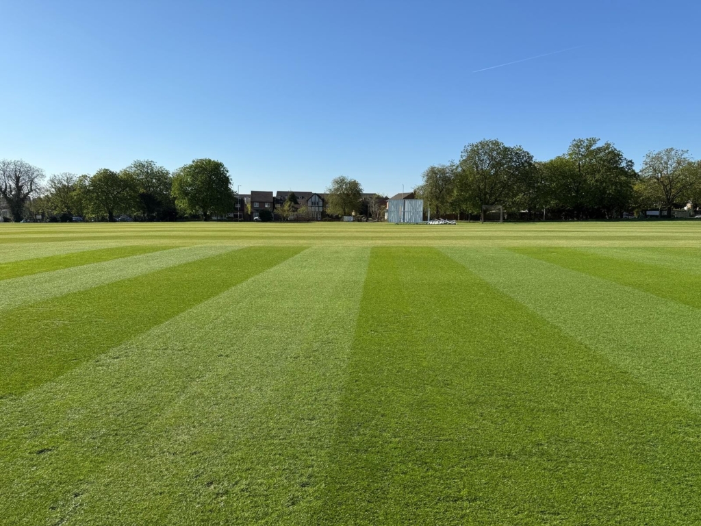 MM50 Delivers the Perfect Pitch MM50 Delivers the Perfect Pitch