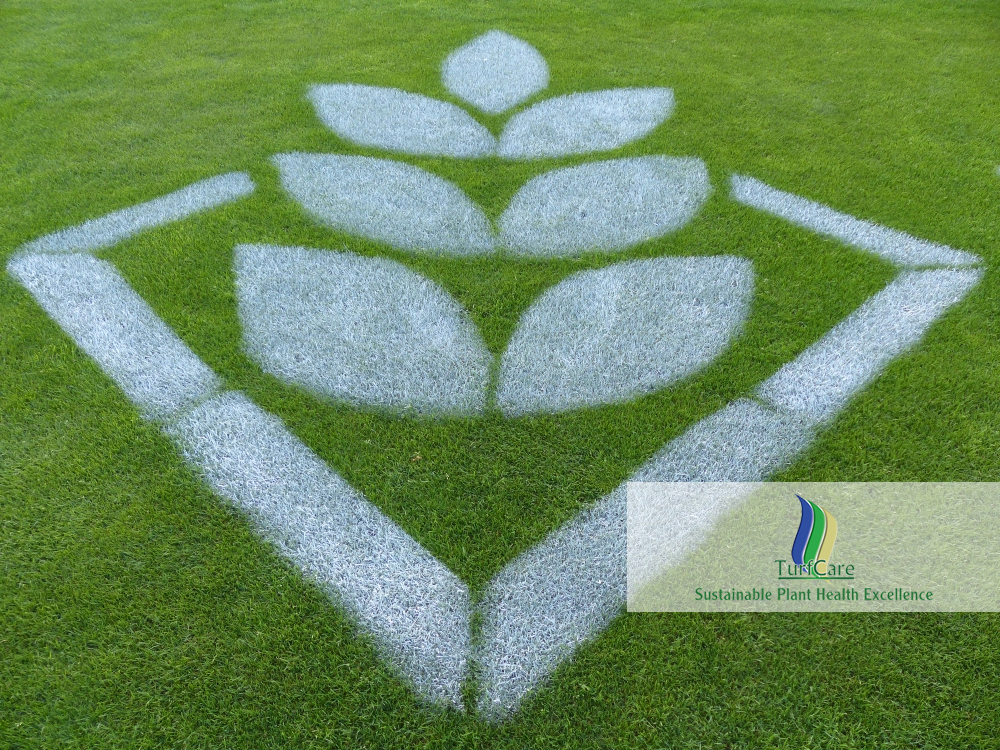 TurfCare Appointed as New UK Distributor for DSV TurfCare Appointed as New UK Distributor for DSV