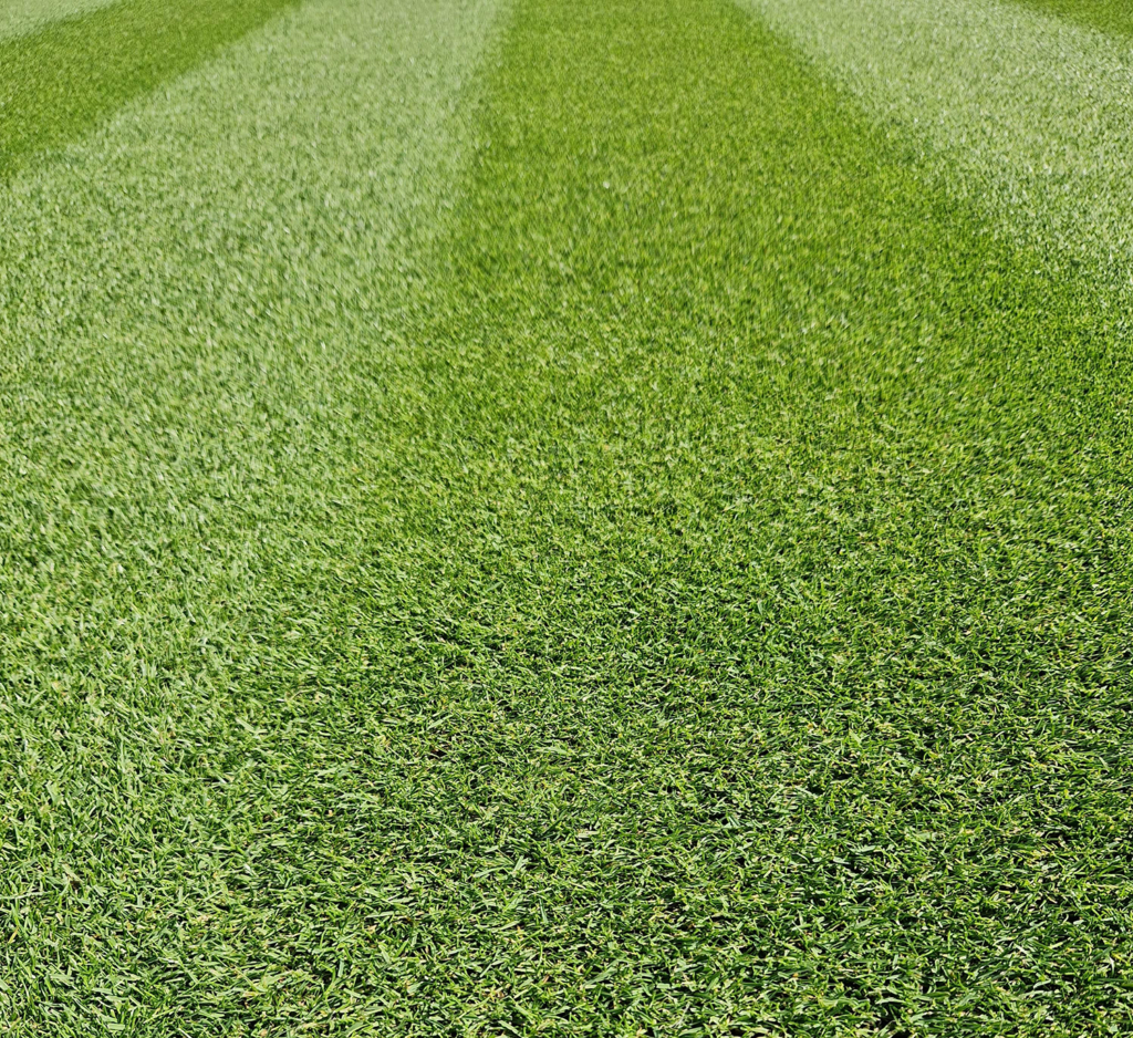MM50 Delivers the Perfect Pitch MM50 Delivers the Perfect Pitch