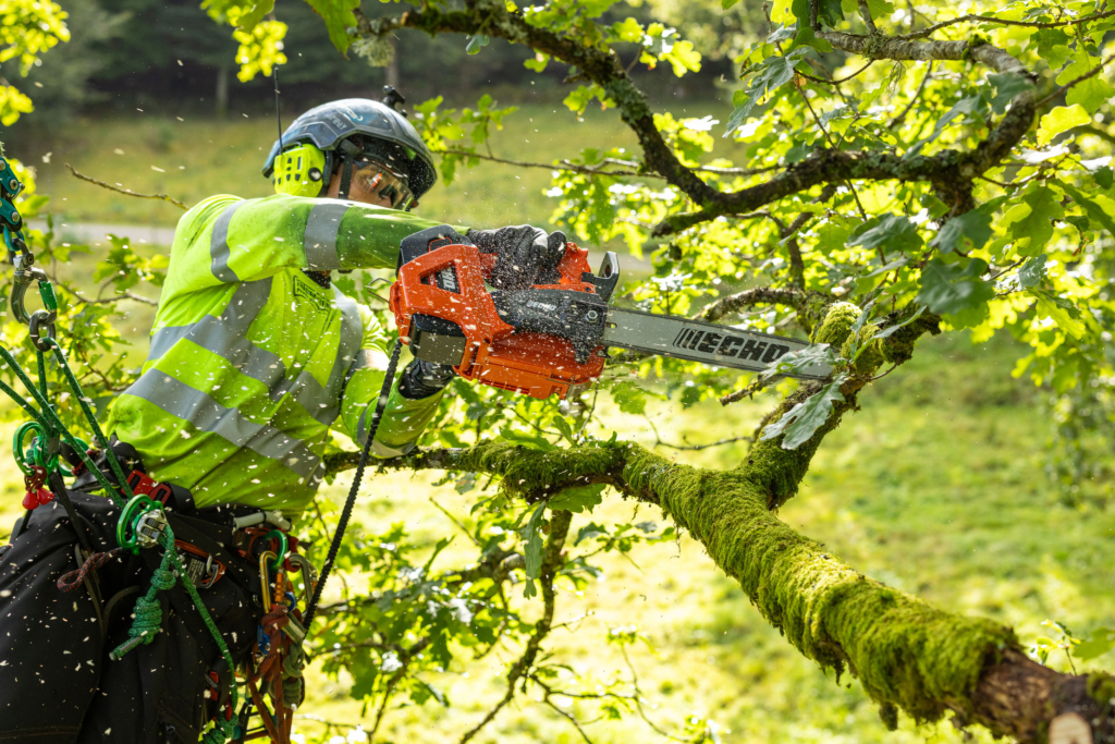 The jewel in the crown – ECHO’s DCS-3500T The jewel in the crown – ECHO’s DCS-3500T