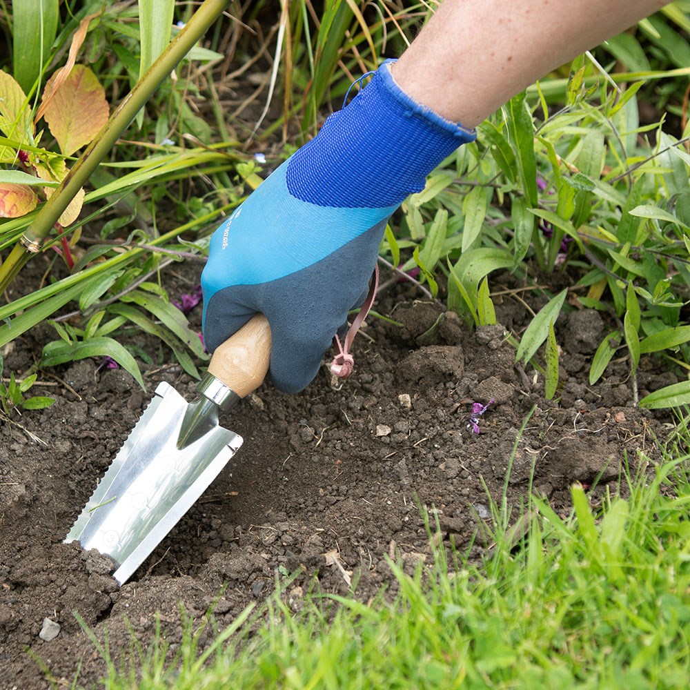 Hori Hori Trowel wins big at Glee Hori Hori Trowel wins big at Glee
