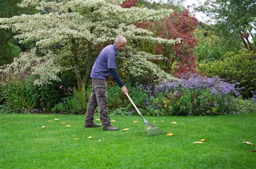 Barnsdale Gardens Tools On Test  Barnsdale Gardens Tools On Test