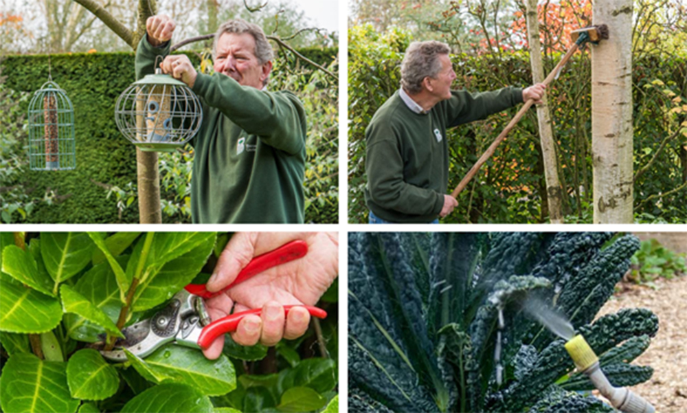 Get Growing, Get Glowing! Get Growing, Get Glowing!