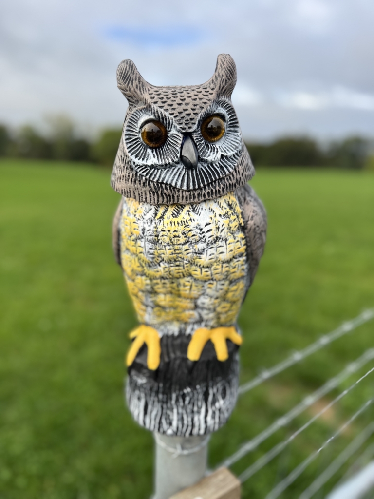 Portek's solar-powered owl bird scarer Portek's solar-powered owl bird scarer