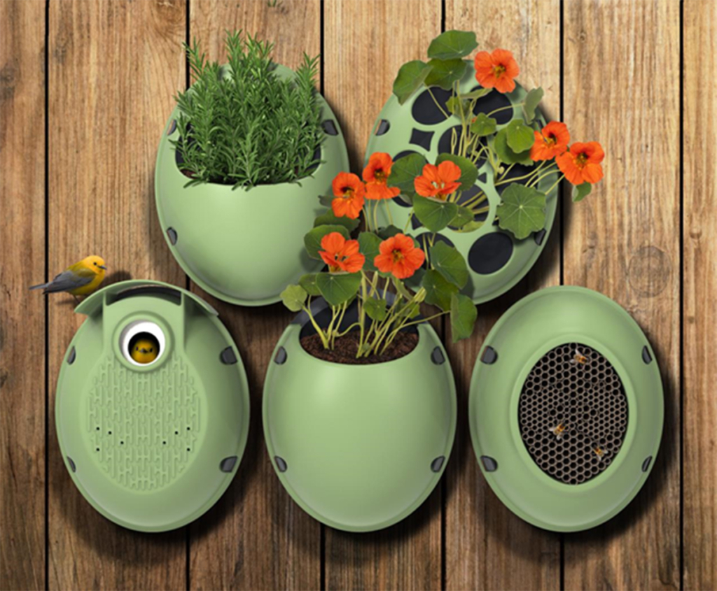 Grow up, not out with Eggologic Grow up, not out with Eggologic