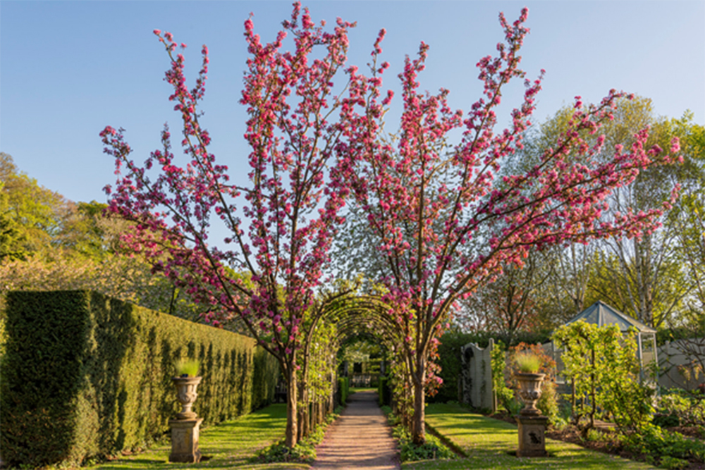 Why Barnsdale Gardens is the Garden Lover’s Must-See Why Barnsdale Gardens is the Garden Lover’s Must-See