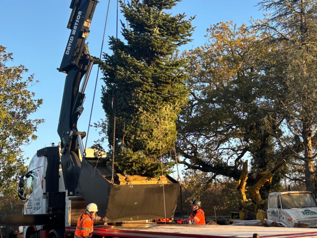 Rethinking the Christmas Tree with a more sustainable solution Rethinking the Christmas Tree with a more sustainable solution