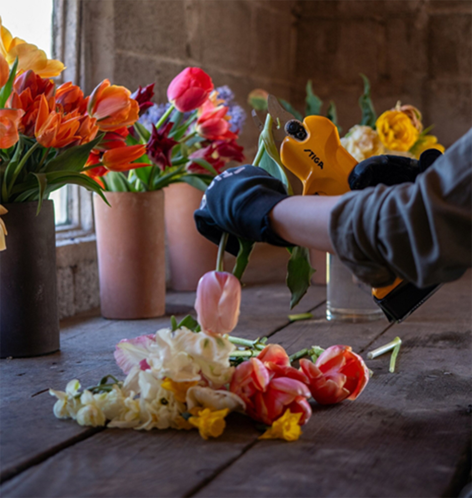 Transform Your Garden This National Gardening Week Transform Your Garden This National Gardening Week