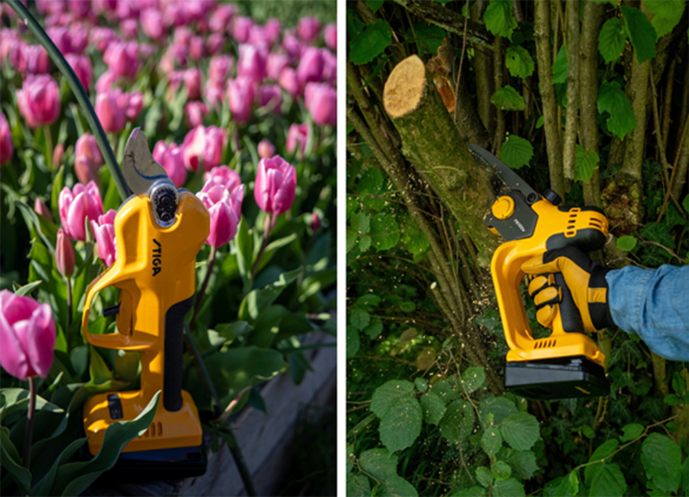 Swap Easter Calories for Garden Glory Swap Easter Calories for Garden Glory