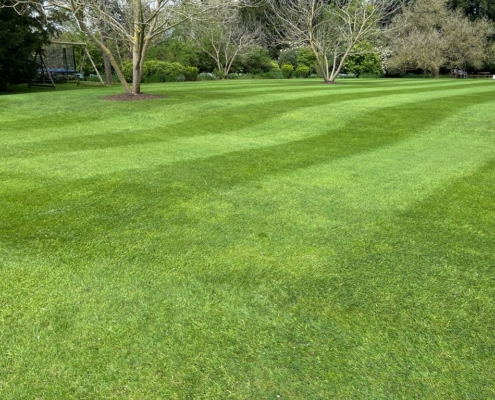 Sensible, Sustainable Lawn Care, Working With Nature