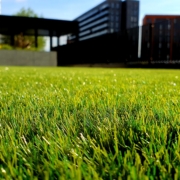 Professional 'Green' lawncare is key for the environment