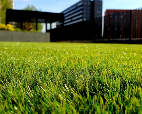 Professional 'Green' lawncare is key for the environment