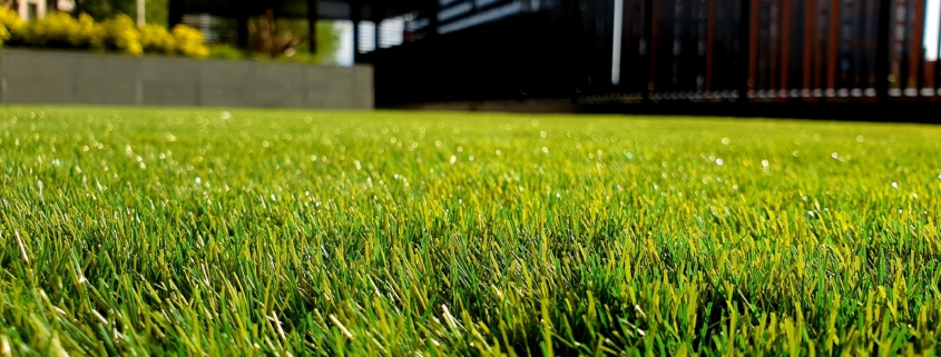Professional 'Green' lawncare is key for the environment