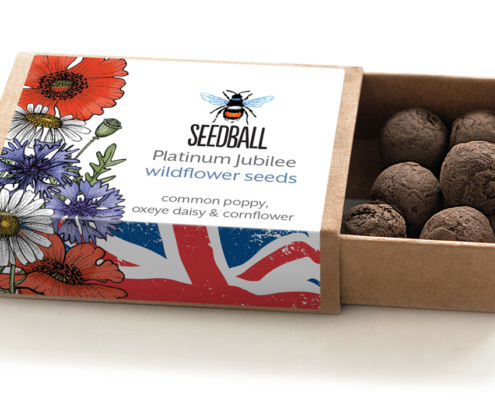 Choose a native wildflower seed collection to celebrate the Platinum Jubilee