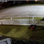 Man caught on video using stolen lawnmower to cut victim's grass
