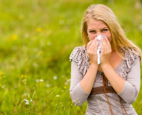 Pollen free plants to keep hay fever at bay