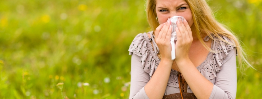 Pollen free plants to keep hay fever at bay