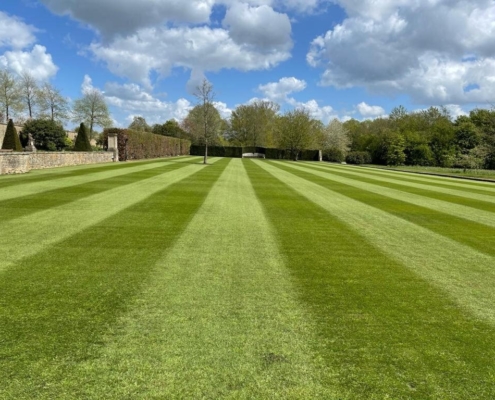 UK grass is about to get a whole lot greener!