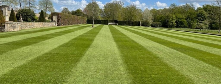 UK grass is about to get a whole lot greener!