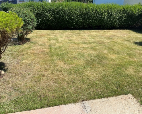 Lawn care in June? Don't sweat it!