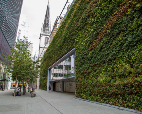 Living wall firm celebrates 15-year anniversary