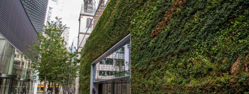 Living wall firm celebrates 15-year anniversary