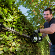 Hedge Trimmers: A Buying Guide