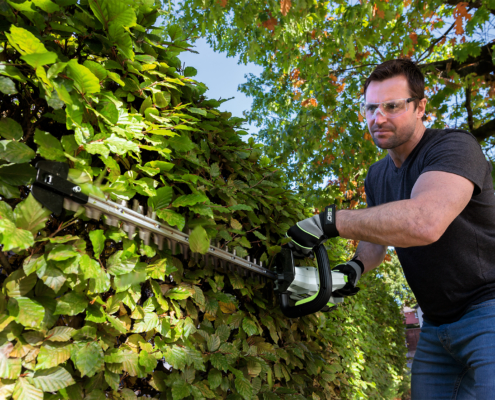 Hedge Trimmers: A Buying Guide