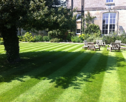 Trees and grass, the sustainable summer partnership!