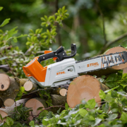 Stihl launches most powerful cordless top handle chainsaw