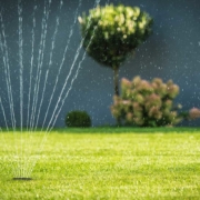 Turfgrass Growers thanks water companies for hose pipe ban exemptions on new-laid turf
