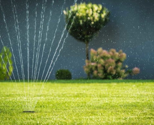 Turfgrass Growers thanks water companies for hose pipe ban exemptions on new-laid turf