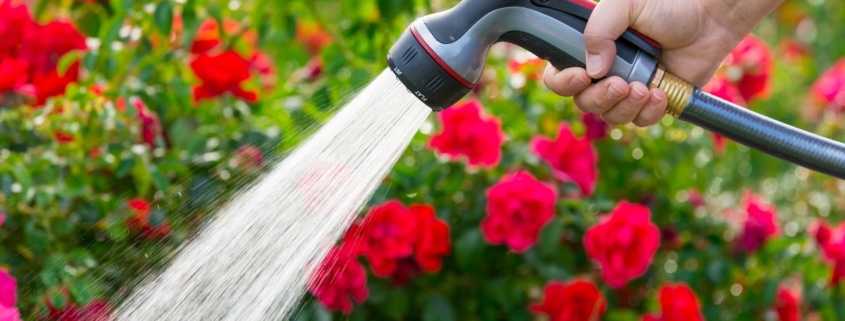 Thames Water Hosepipe Ban: 6 Other Ways You Could Be Breaking the Law in Your Garden