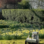 Work with nature, not against it, for better lawn care